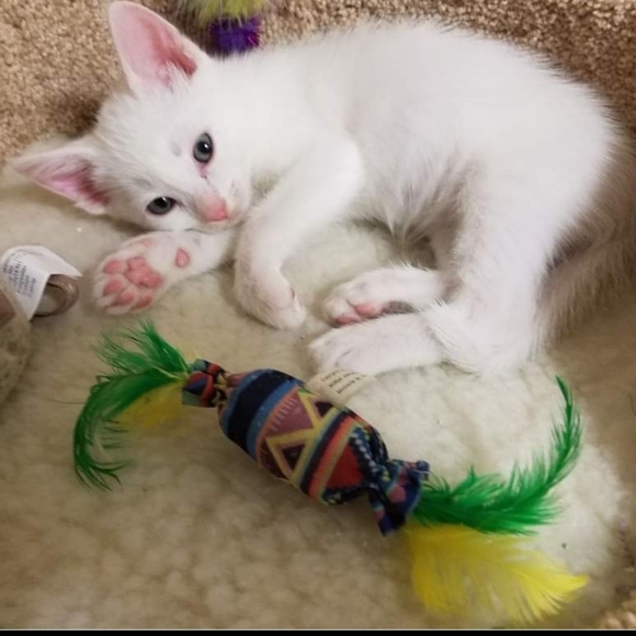 Meet your Posher, Merve - Picture 9 of 14